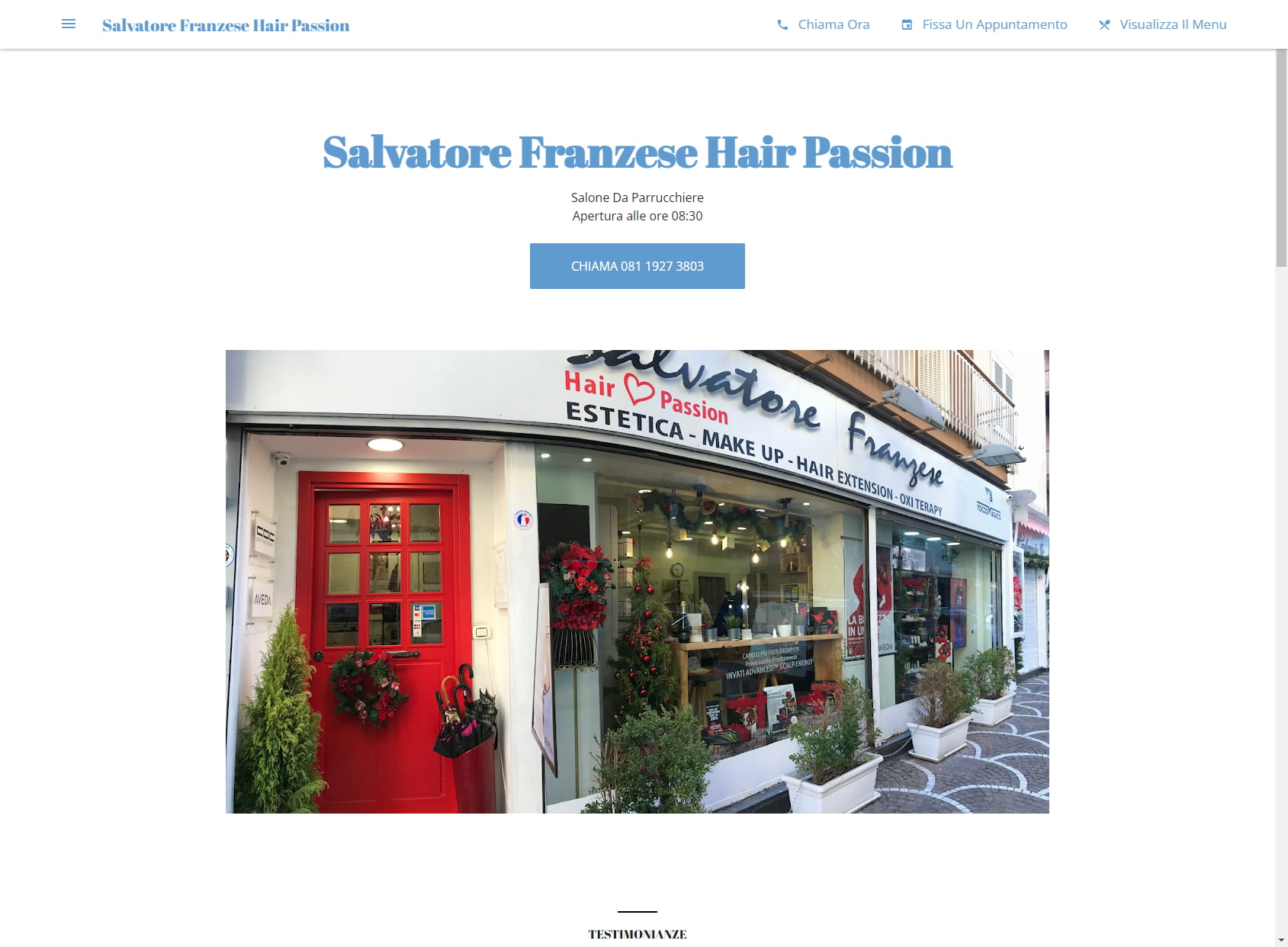 Salvatore Franzese Hair Passion