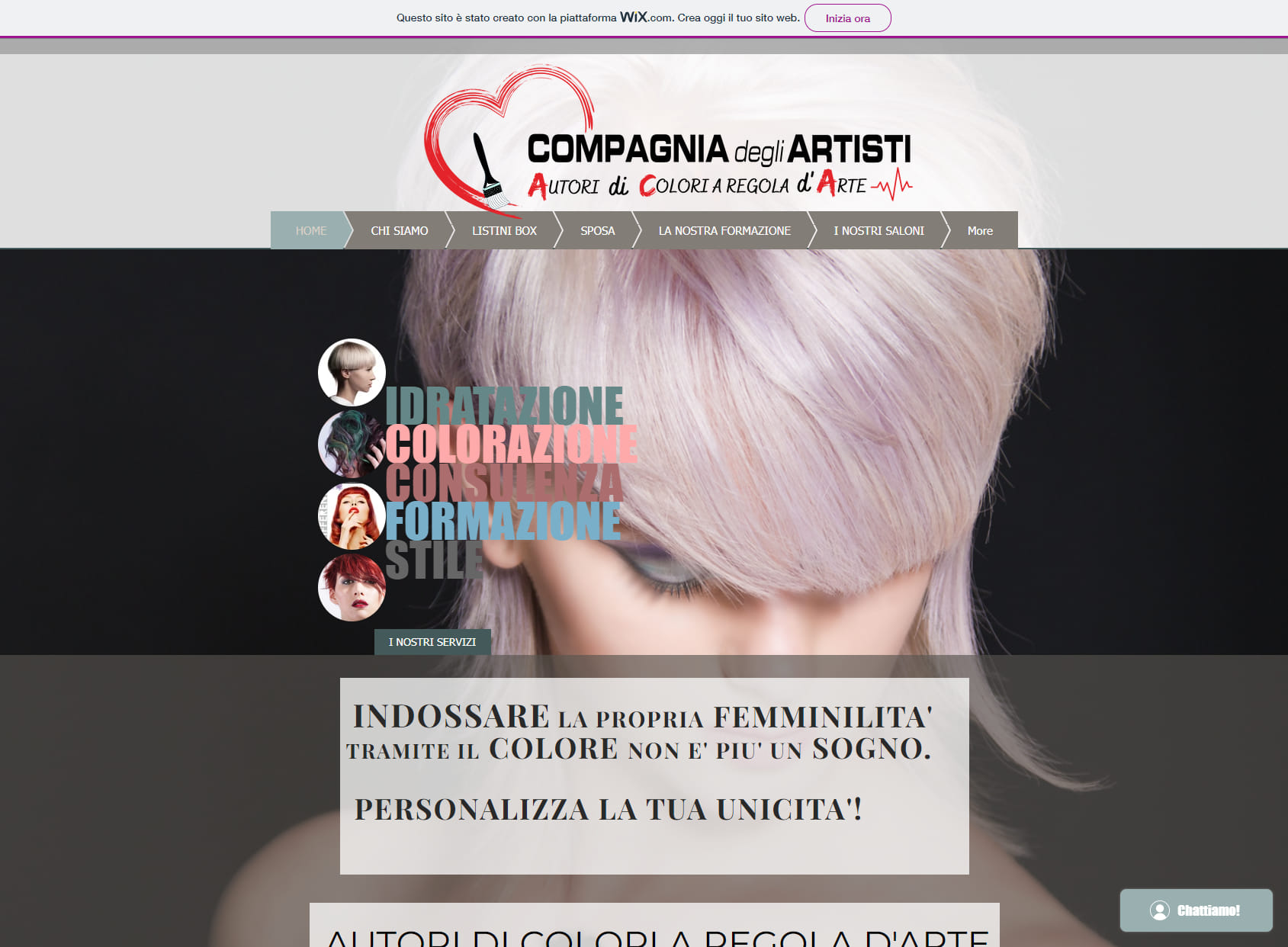 Compagnia degli Artisti Parrucchieri |Pisa |Esselunga|Autori di colori ad Opera d'arte.
